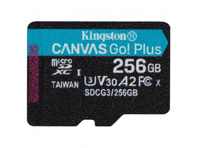 Kingston 256GB SDCG3/256GBSP