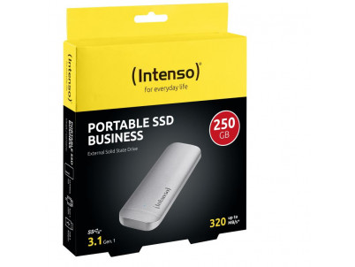 Intenso Business 250GB 3824440