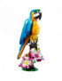 Exotický papagáj 31136