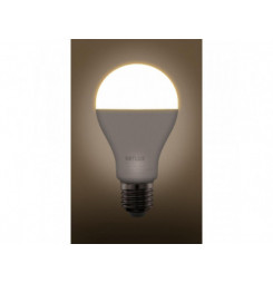 RLL 462 A67 E27 bulb 20W WW RETLUX