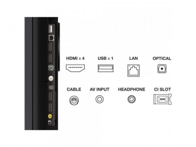 55C845 QLED MINI-LED ULTRA HD LCD TV TCL