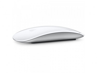 Magic Mouse WT Multi-Touch Surface