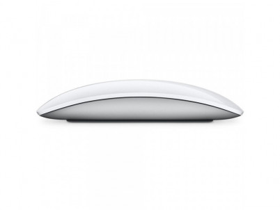 Magic Mouse WT Multi-Touch Surface