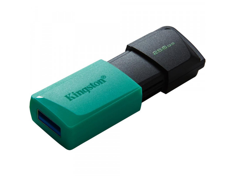 DTXM/256GB USB3.2 Gen 1 USB FD KINGSTON