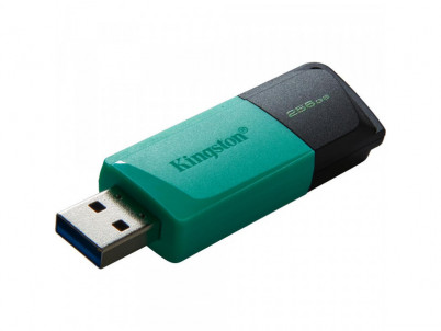 DTXM/256GB USB3.2 Gen 1 USB FD KINGSTON