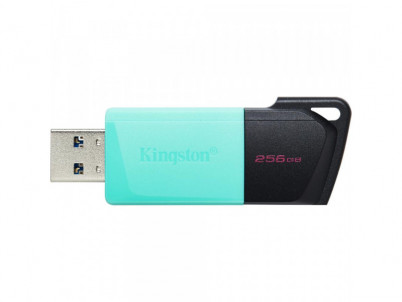 DTXM/256GB USB3.2 Gen 1 USB FD KINGSTON