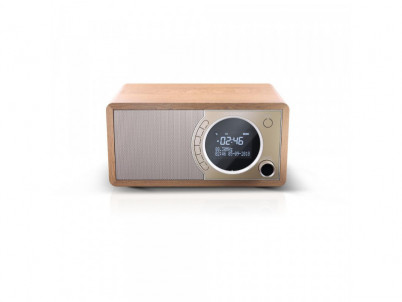 DR-450BR FM/DAB rádioprijímač SHARP