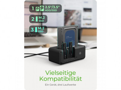 RAIDSONIC ICY BOX Docking Station IB-2924MSCL-C31