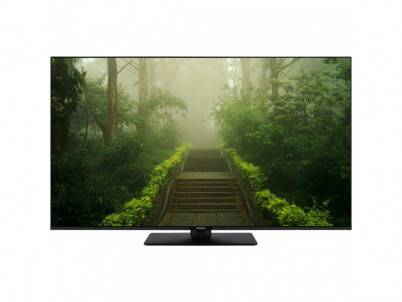 TB 55W60AEZ LED TV PANASONIC