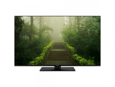 TB 50W60AEZ LED TV PANASONIC