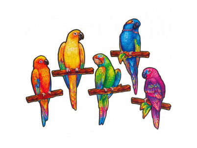 Playful Parrots (KS) puzzle UNIDRAGON