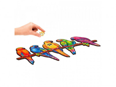 Playful Parrots (M) puzzle UNIDRAGON