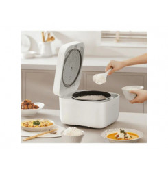 XIAOMI Multifunctional Rice Cooker, Ryžovar, 4L