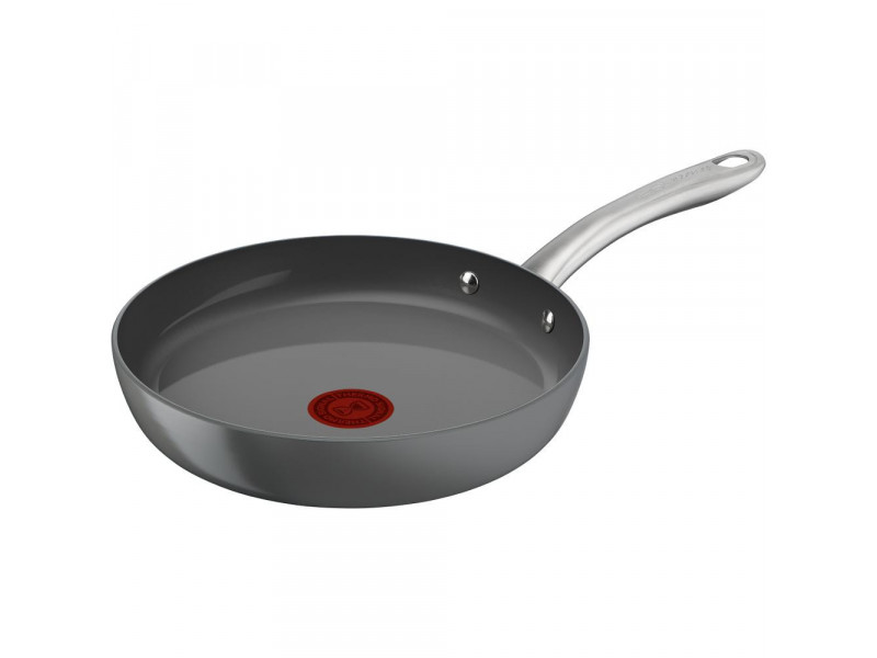 C4240253 Renew+ panvica 20 cm TEFAL