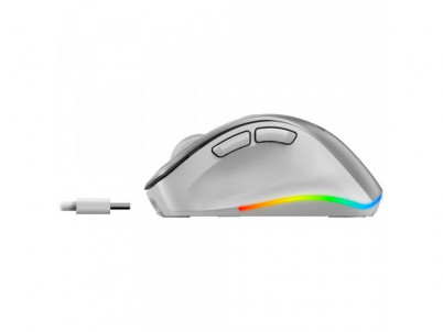 Ergo 9000S Pro Wrl mouse Silver GENIUS