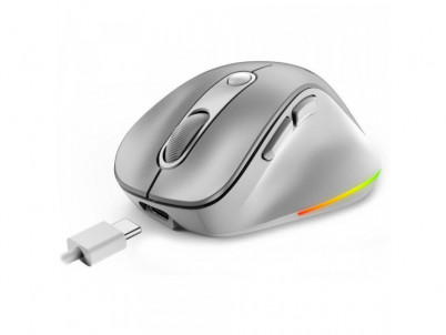 Ergo 9000S Pro Wrl mouse Silver GENIUS