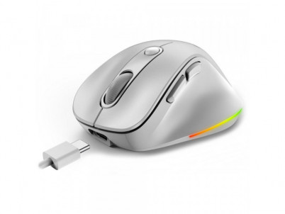 Ergo 9000S Pro Wrl mouse White GENIUS