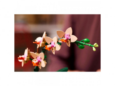 Miniatúrna orchidea 10343 LEGO