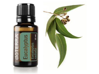 Esenciálny olej Eucalyptus 15 ml doTERRA