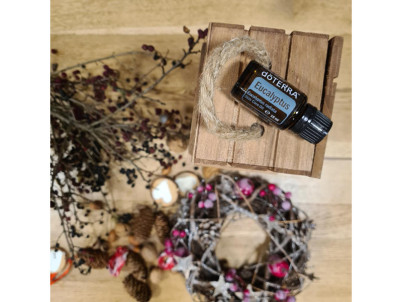 Esenciálny olej Eucalyptus 15 ml doTERRA