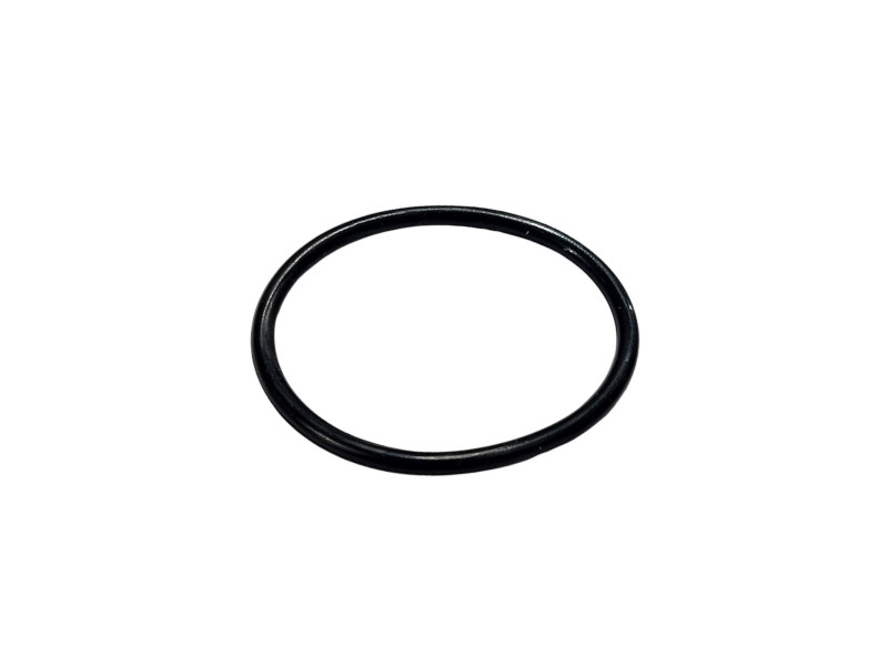 O-tesnenie krúžku na čerpadlo Strend Pro Garden MW750, diel č. 39