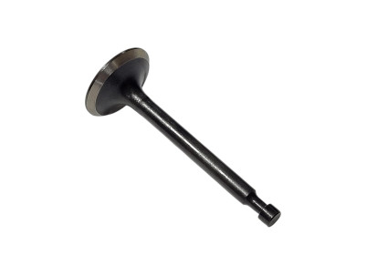 Sací ventil pre rotavátor Strend Pro QK60 3Q4095