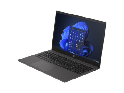 HP 250 G10 15.6" FHD i5-1334U/8/512/I/W11