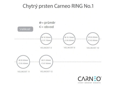 Smart ring NO 1 size 8 CARNEO