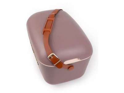 Classic Gold Chla. box hendá POLARBOX
