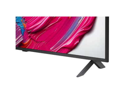 50QNED80A6A QNED TV LG