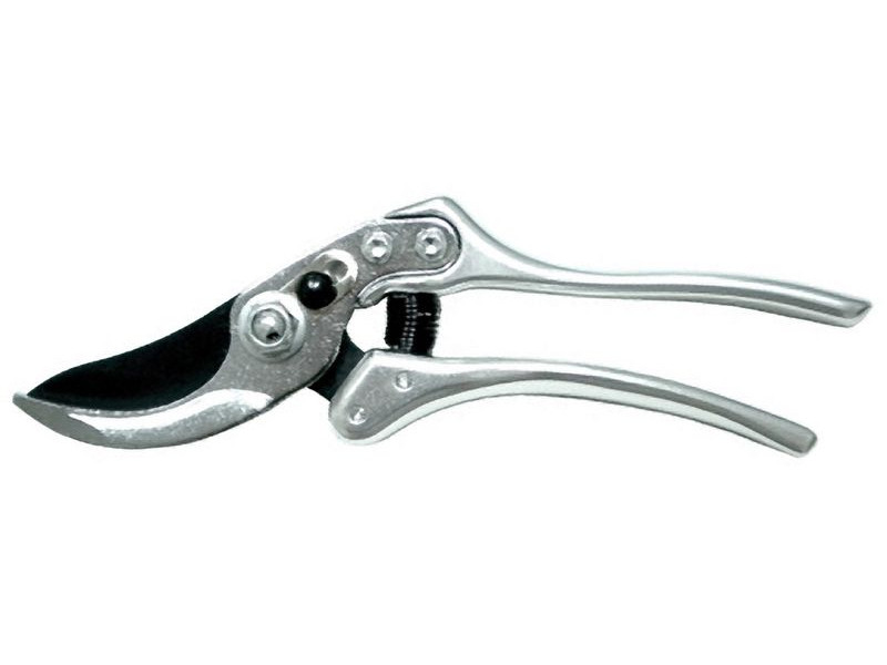 Nožnice Strend Pro Premium 3169A, záhradné, na konáre, leštené