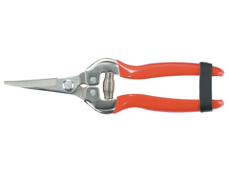 Nožnice Strend Pro Premium 803AS, 185 mm, záhradné, na ovocie, kvety a rastliny, zahnuté Nožnice Strend Pro Premium 803AS, 185 mm, záhradné, na ovocie, kvety a rastliny, zahnuté