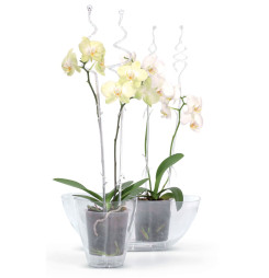 Tyč COUBI ISTC01, 60 cm, transparent, oporná, pre orchideu