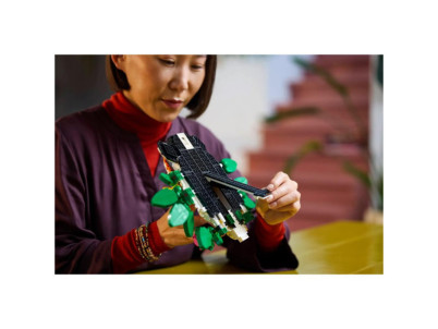 31217 Kolekcia zvierat - Tiger LEGO