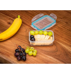Dóza MagicHome Lunchbox E805 500 ml, obdĺžniková, Clip