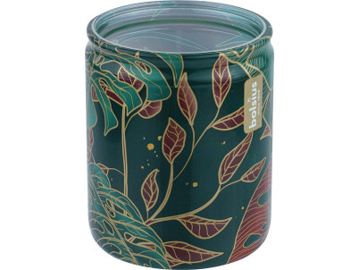 Sviečka Bolsius Star.glas Love, 82/68 mm, v skle, Sellbox 12 ks