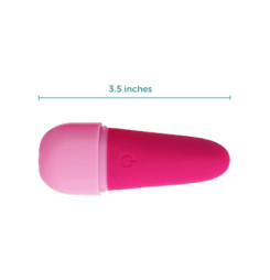 Pink Passion Intímny vibrátor PLUSONE