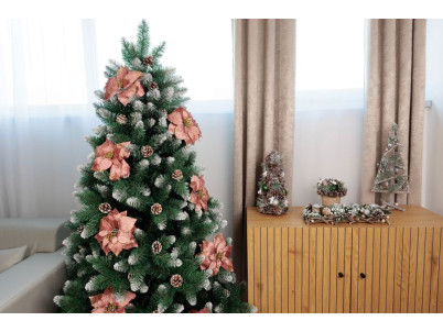 Kvet MagicHome Vianoce, Poinssetia, ružová, stonka, 38 cm, veľkosť kvetu: 24 cm