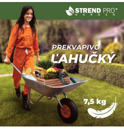 Fúrik EcoLoad, pozinkovaný, korba 65 lit., (demont)