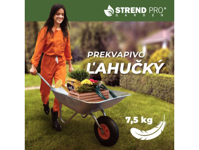 Fúrik EcoLoad, pozinkovaný, korba 65 lit., (demont)