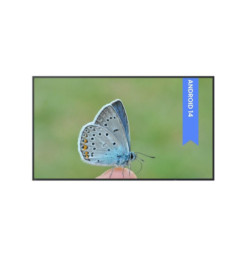 BENQ ST4304 Smart Signage, LED Panel 4K UHD 43"