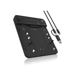 RAIDSONIC ICY BOX IB-2913MCL-C31, Klon stanica