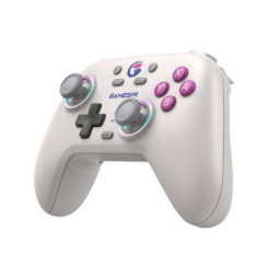 Nova HDRumble wrl controller RW GAMESIR