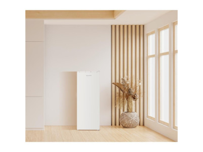 PF 161 ENFIW zásuvková mraznička PHILCO