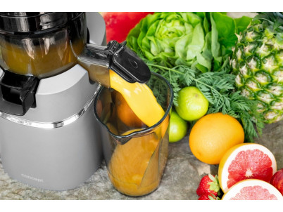 CONCEPT LO7120 Odšťavovač šnekový JUICY CONCEPT LO7120 Odšťavovač šnekový JUICY
