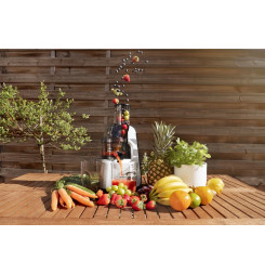 CONCEPT LO7065 Odšťavovač šnekový