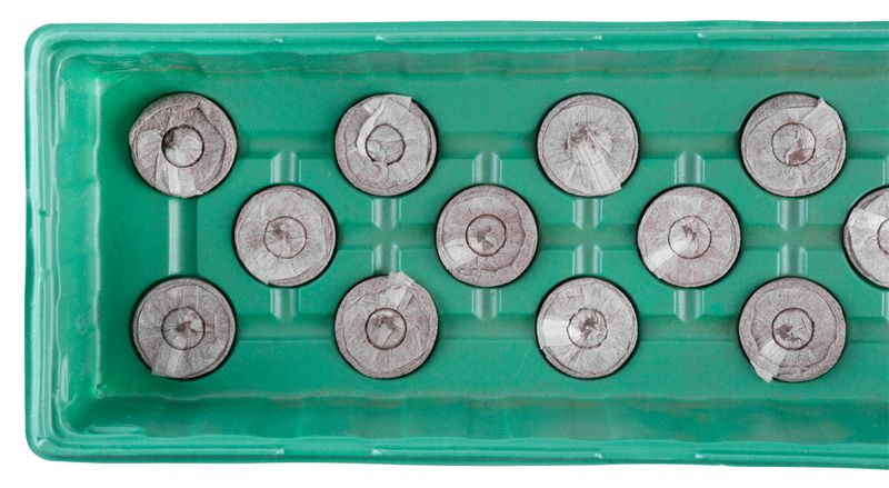 Miniparenisko Strend Pro Herrison MG-028, s 20 kokosovými peletami , 55x16x7 cm