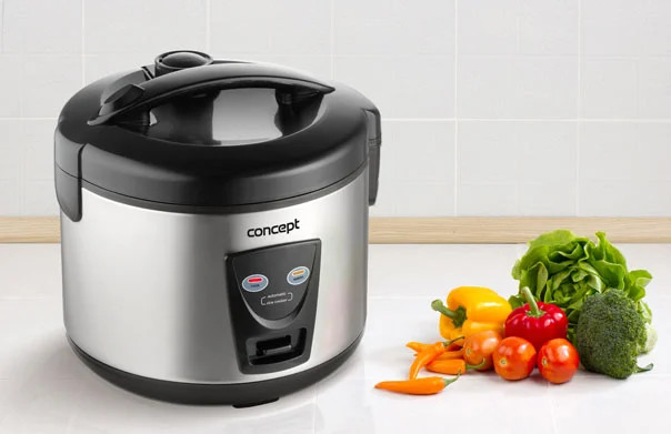 Ryžovar 650W RE2020