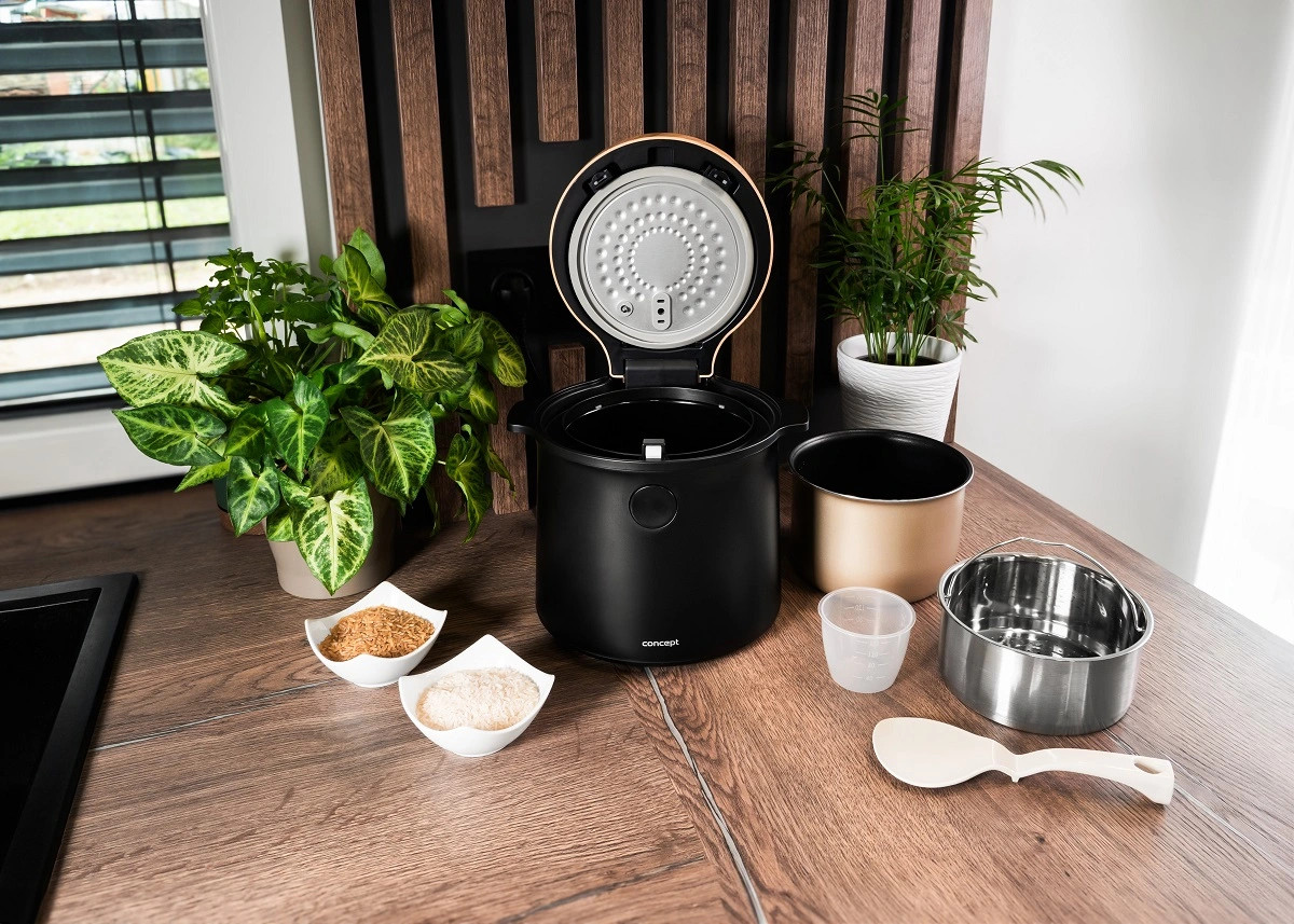 CONCEPT RE4040 Ryžovar