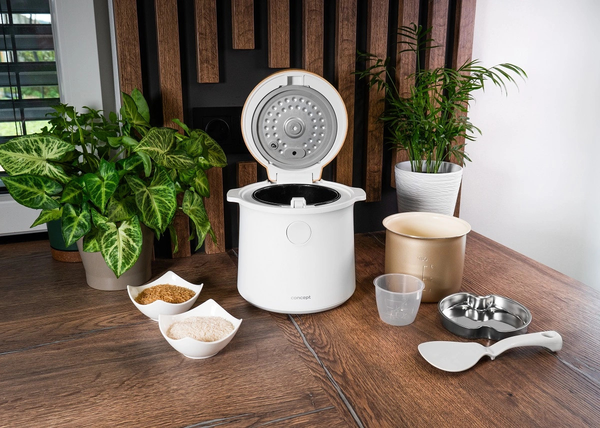 CONCEPT RE3030 Ryžovar